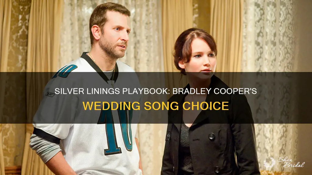 what was bradley cooper