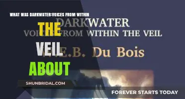 Darkwater: Voices from Within the Veil Explored