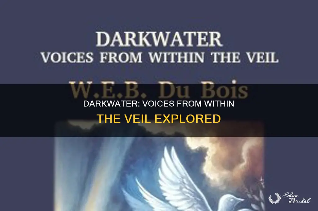 what was darkwater:voices from within the veil about