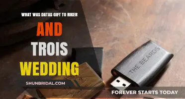 Data's Unique Wedding Gift to Riker and Troi: A Heartfelt Surprise