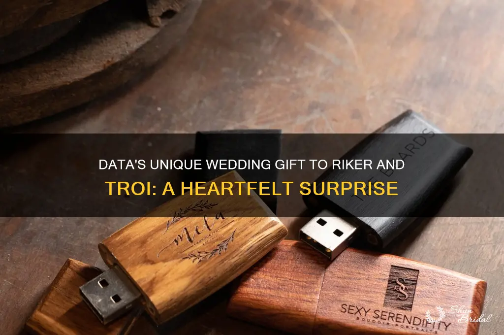 what was datas gift to riker and trois wedding