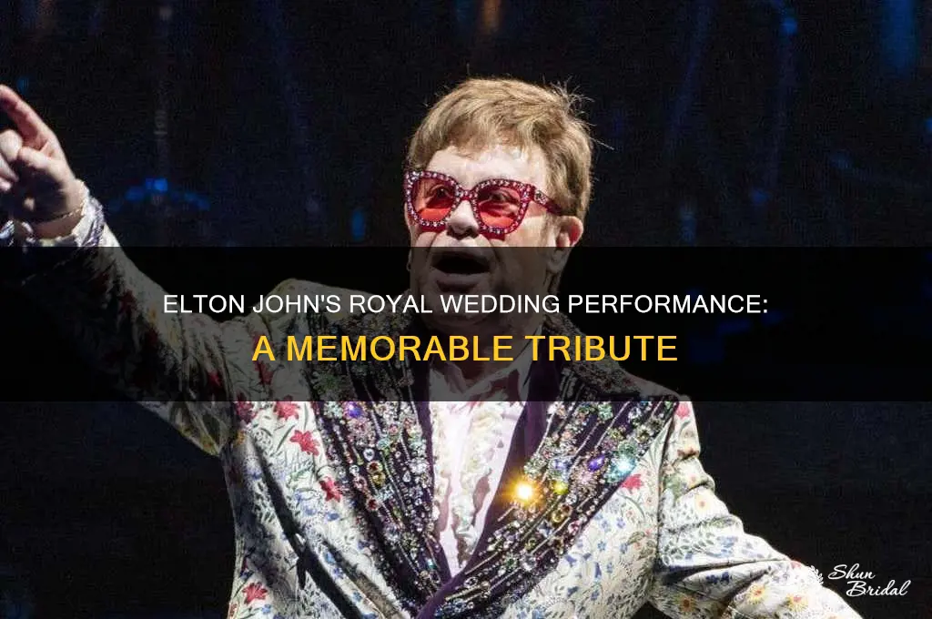 what was elton john doing in the royal wedding