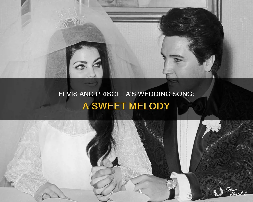 what was elvis and priscilla