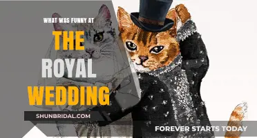 Royal Wedding Laughter: Hilarious Moments That Stole the Show