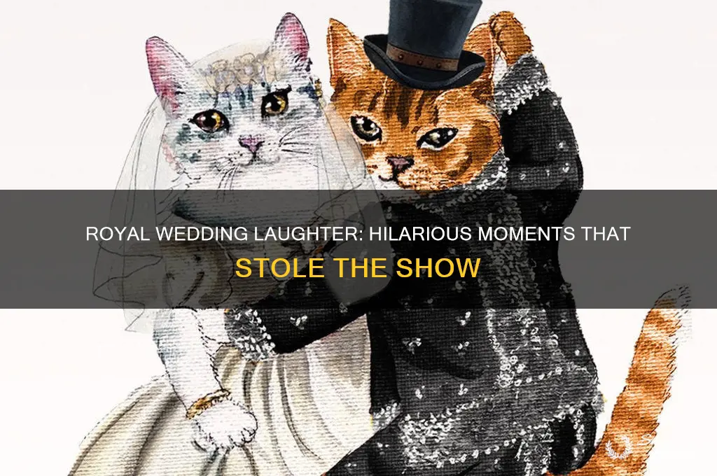 what was funny at the royal wedding
