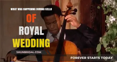 Royal Wedding Cello Performance: Unveiling the Majestic Moments and Melodies