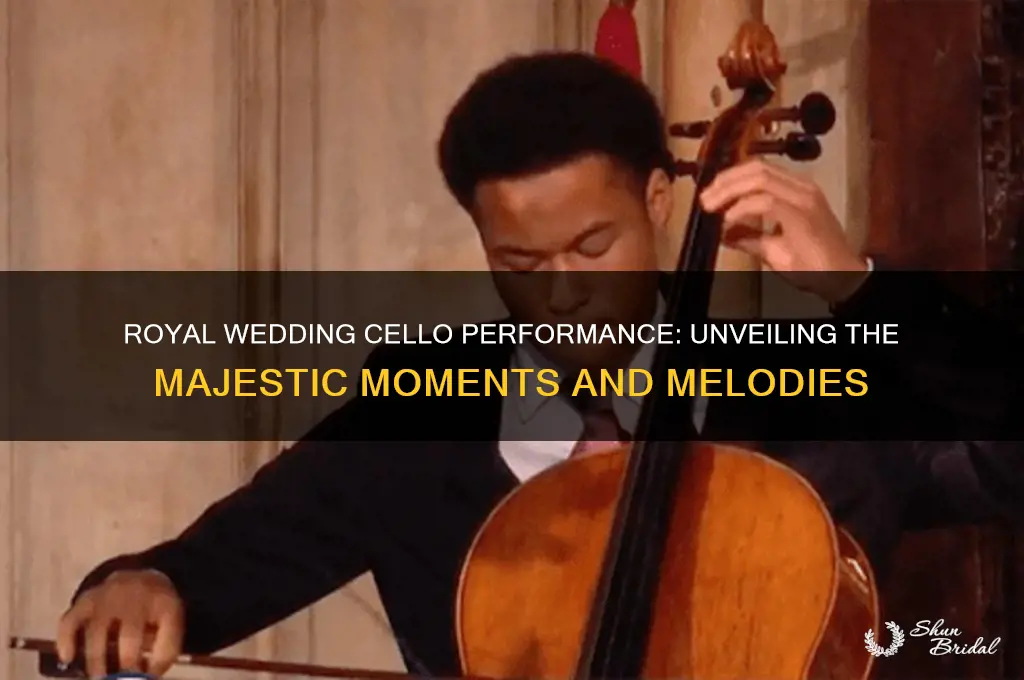 what was happening during cello of royal wedding