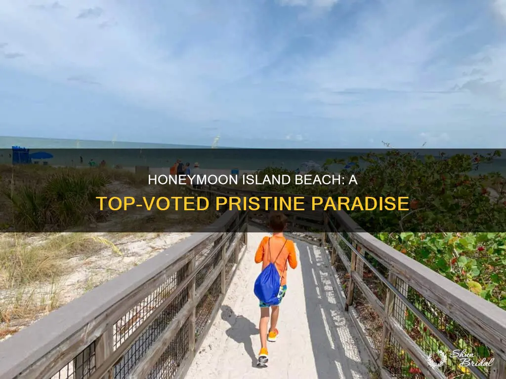 what was honeymoon island beach voted on for being
