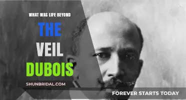 Life Beyond the Veil: Exploring W.E.B. Du Bois' Vision and Legacy