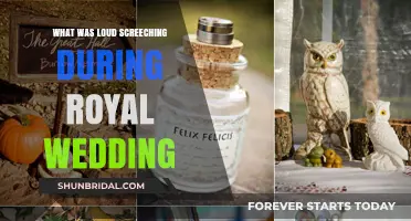 Unraveling the Mystery: Royal Wedding's Unexpected Loud Screeching Explained