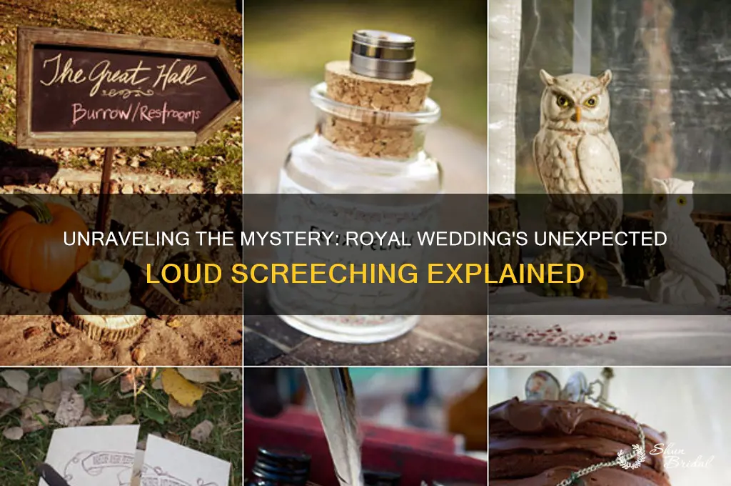 what was loud screeching during royal wedding