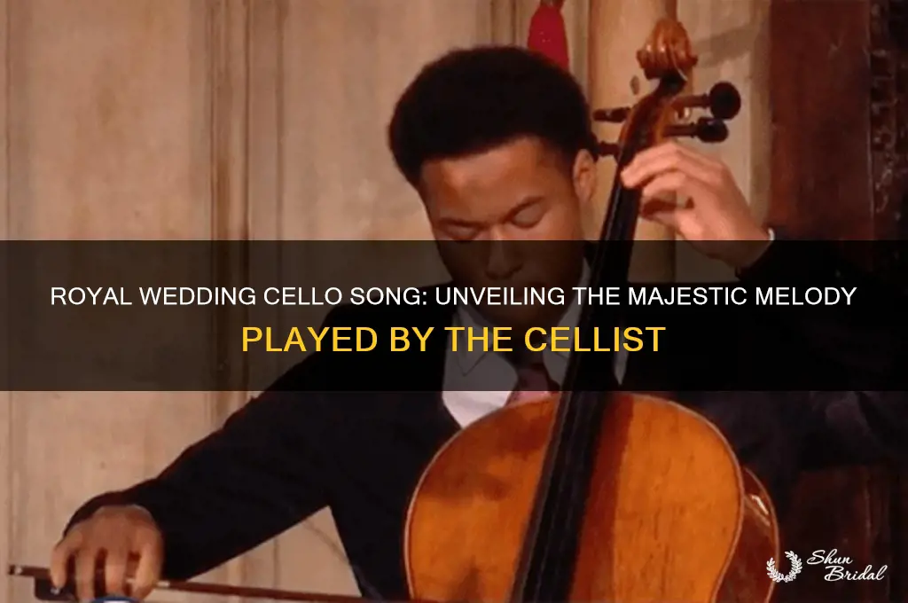 what was name of song cellist played at royal wedding