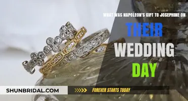 Napoleon's Wedding Gift: Josephine's Surprising Treasure Revealed