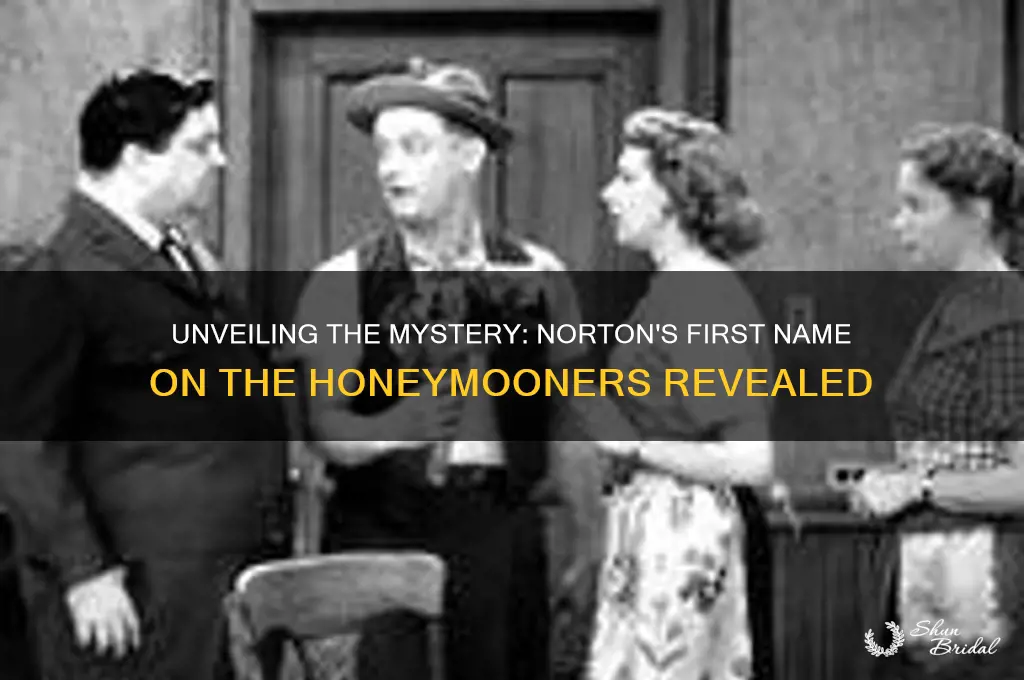 what was norton