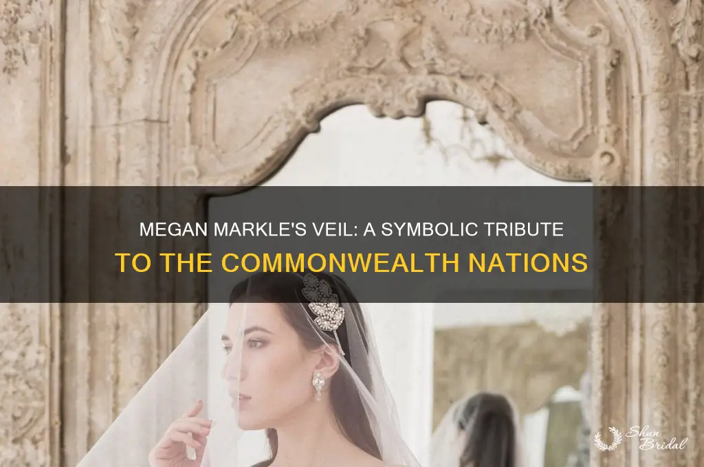 what was on megan markles veil from all the nations