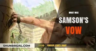 Samson's Nazirite Vow: Unraveling the Sacred Commitment and Its Impact