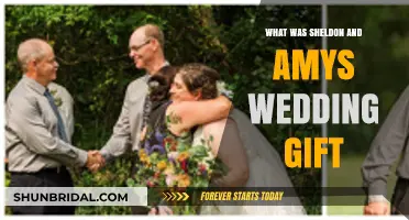 Sheldon and Amy's Wedding Gift: A Heartwarming Surprise Revealed