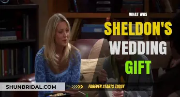Sheldon's Unique Wedding Gift: A Surprising Twist in The Big Bang Theory