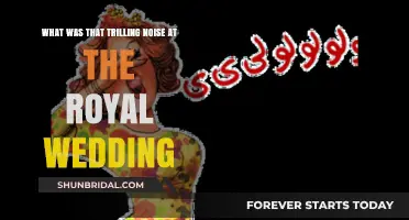 Royal Wedding Mystery: Unraveling the Trilling Noise That Captivated Guests
