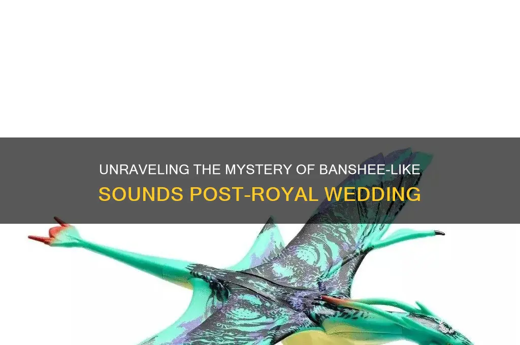 what was the banshee or bird sounds after royal wedding