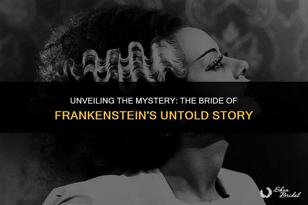 what was the bride of frankenstein