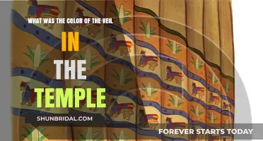 Unveiling the Mystery: The Temple Veil's Color Explored