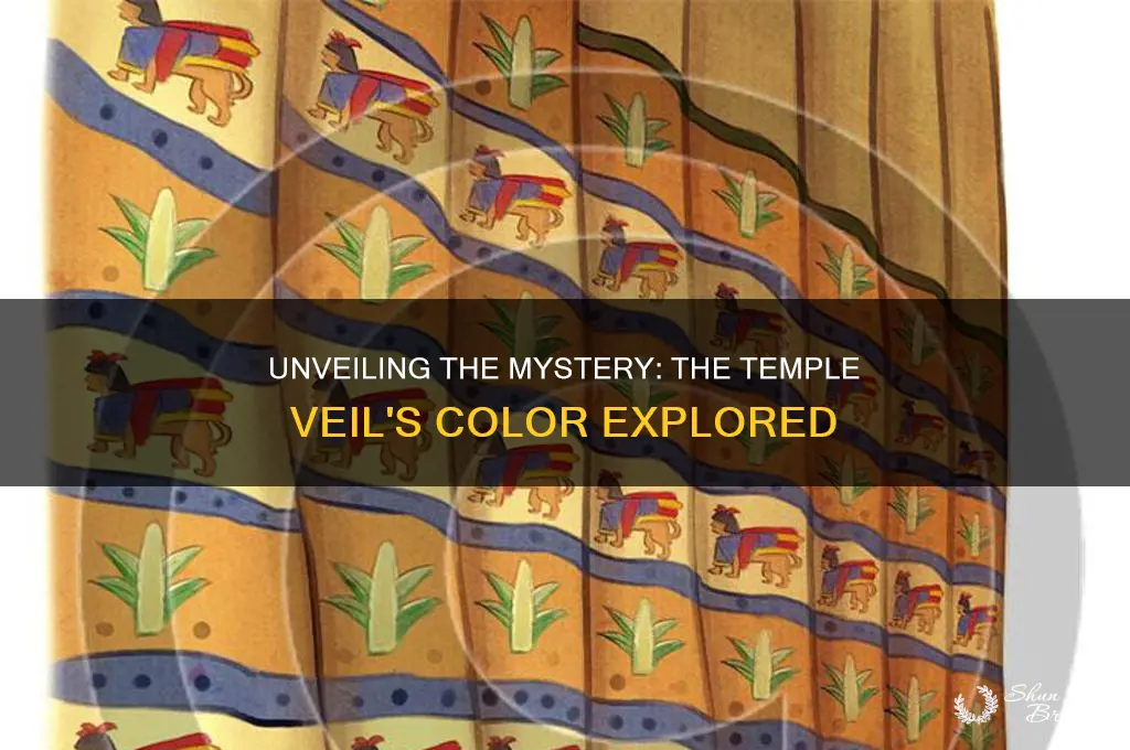 what was the color of the veil in the temple