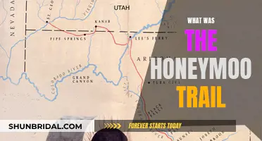 Honeymoon Trail: A Historic Route for Newlyweds in the USA