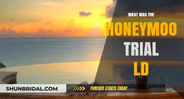 The Honeymoon Trial: Unraveling the Controversial Case of LD