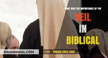 Biblical Veil Significance: Symbolism, Modesty, and Spiritual Meaning Explained