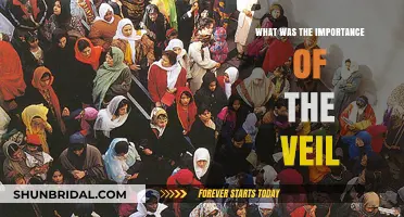 The Veil's Significance: Uncovering Its Cultural and Historical Importance