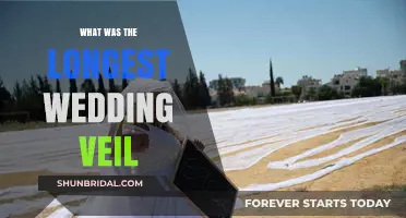 The Record-Breaking Wedding Veil: A Tale of Length and Luxury