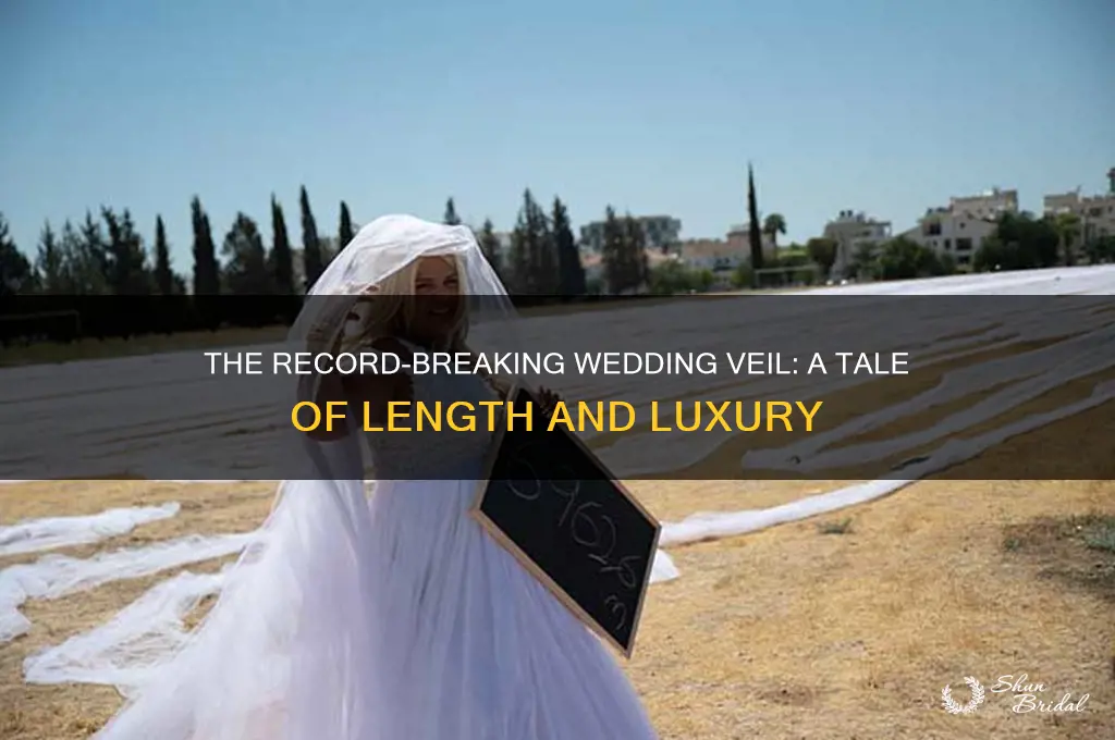 what was the longest wedding veil