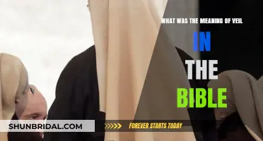 Unveiling the Biblical Significance: The Symbolic Meaning of the Veil