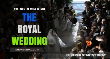 Unveiling the Mystery: The Royal Wedding's Unexpected Outdoor Noise