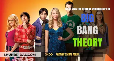 The Perfect Wedding Gift in The Big Bang Theory: A Hilarious Analysis