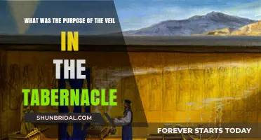 The Tabernacle Veil: Symbolism, Purpose, and Divine Separation Explained