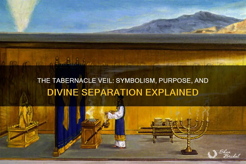 what was the purpose of the veil in the tabernacle