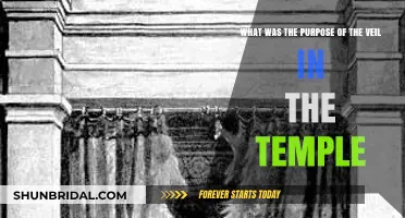 The Veil in the Temple: Symbolism, Purpose, and Spiritual Significance