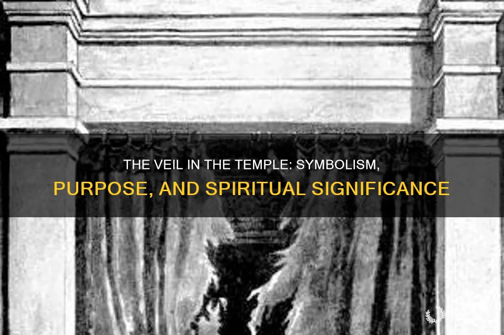 what was the purpose of the veil in the temple