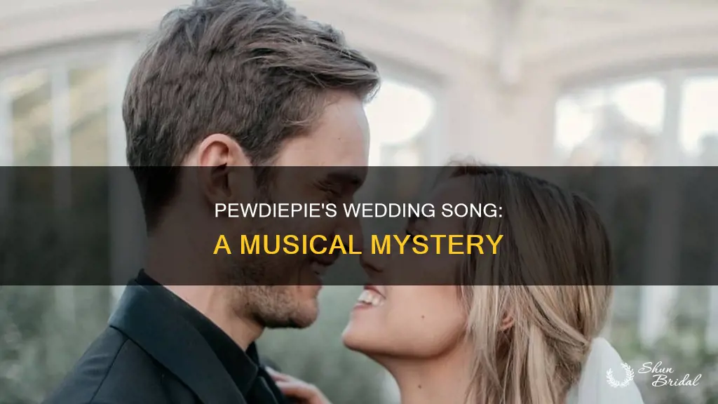 what was the song in pewdiepie