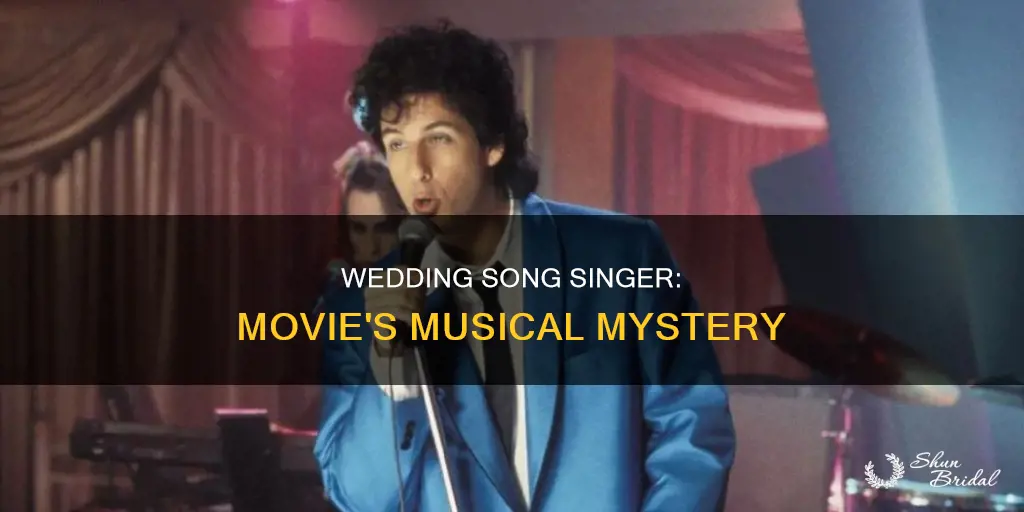 what was the song in the movie wedding song singer