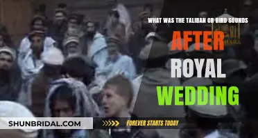 Taliban's Silence or Birdsong: Post-Royal Wedding Acoustic Mystery Explored