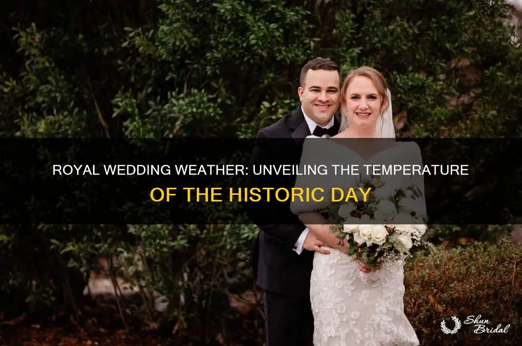 what was the temp at royal wedding