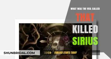 The Veil of Death: Unraveling Sirius Black's Tragic Fate