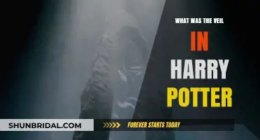 Unveiling the Veil: Exploring the Mystical Barrier in Harry Potter