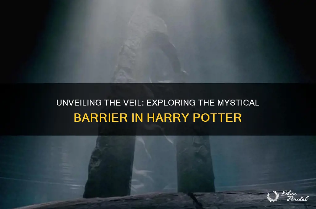 what was the veil in harry potter