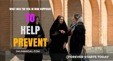 Unveiling Iran's Veil: Preventing Social Disorder or Enforcing Modesty?