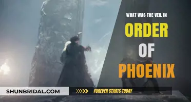 Unveiling the Mystery: The Veil's Role in Order of the Phoenix