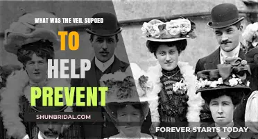 The Veil's Purpose: Preventing Distraction, Promoting Focus, or Something More?